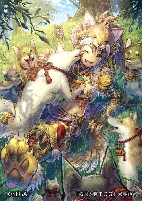 【戦国大戦TCG】犬塚鎮家 KURO