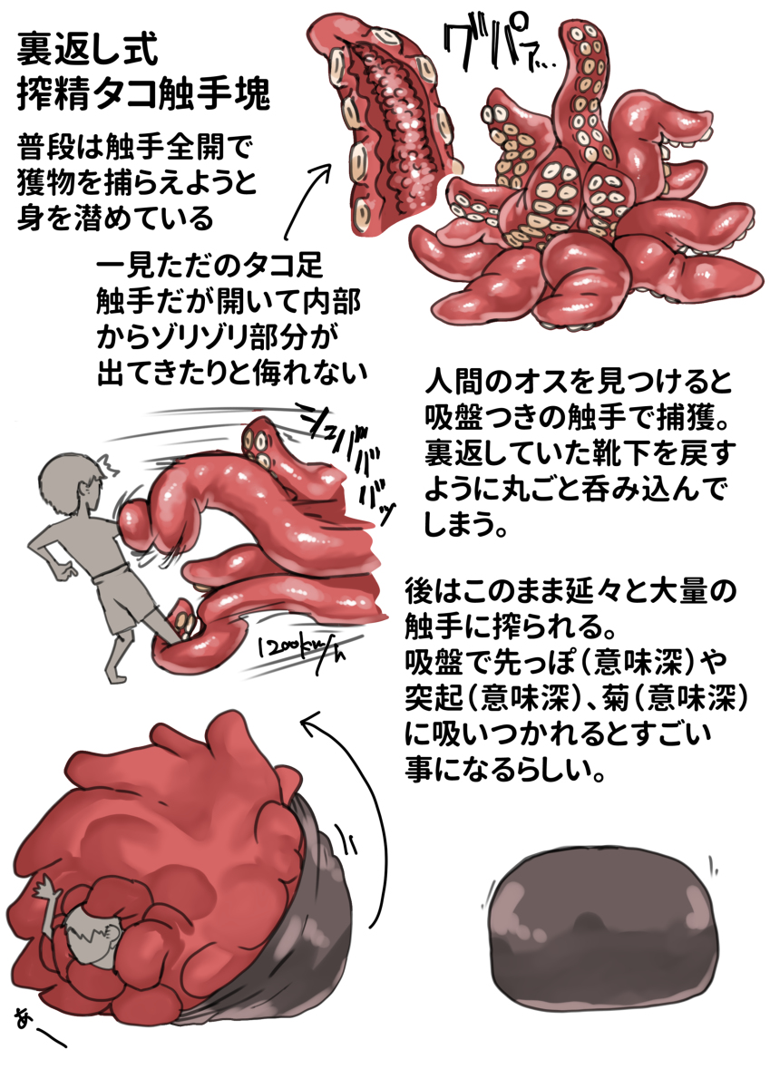 搾精　触手 