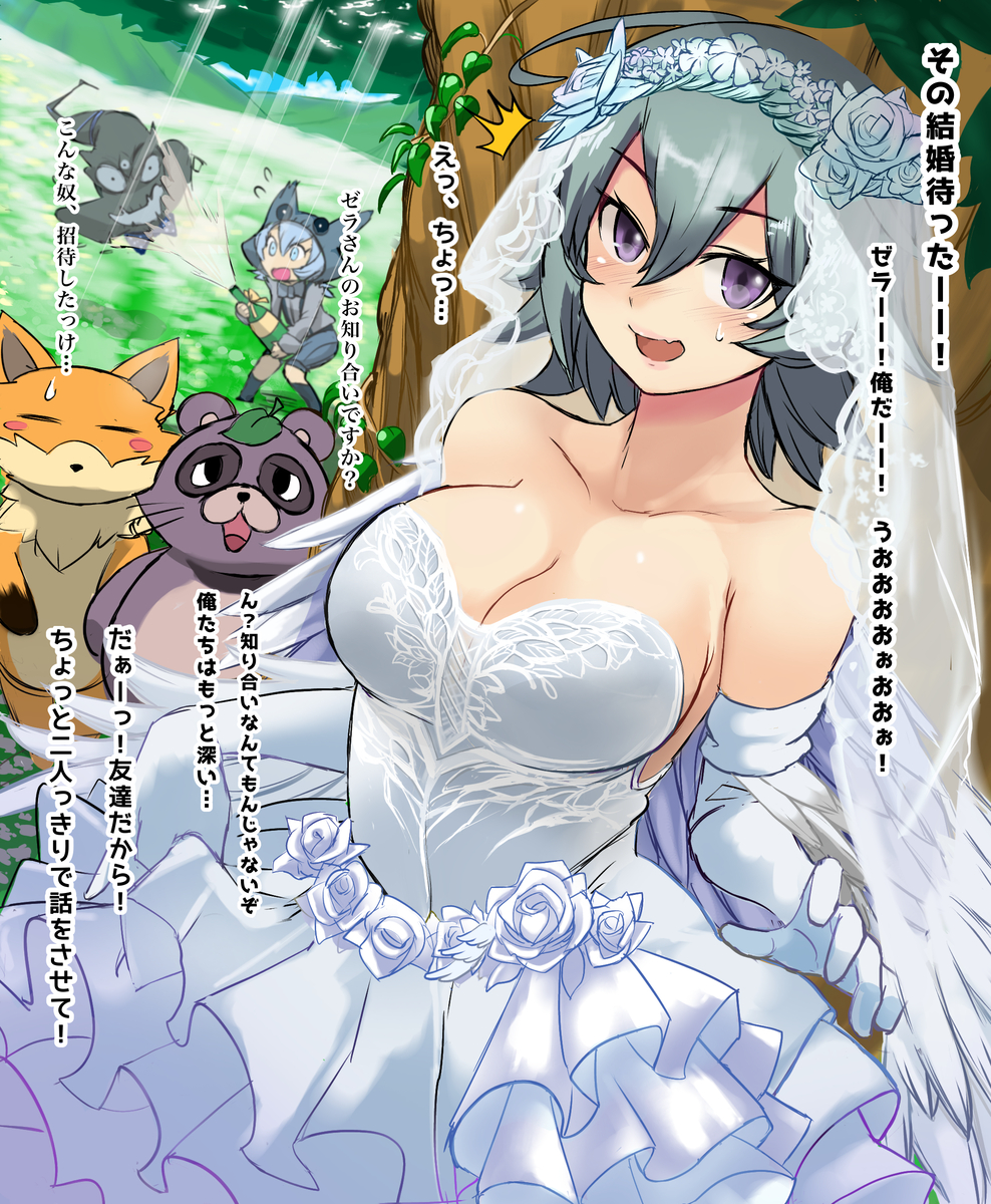 エロ パズドラ パズドラ】花嫁ゼラを奪いに結婚式へ乗り込む | タグチSP