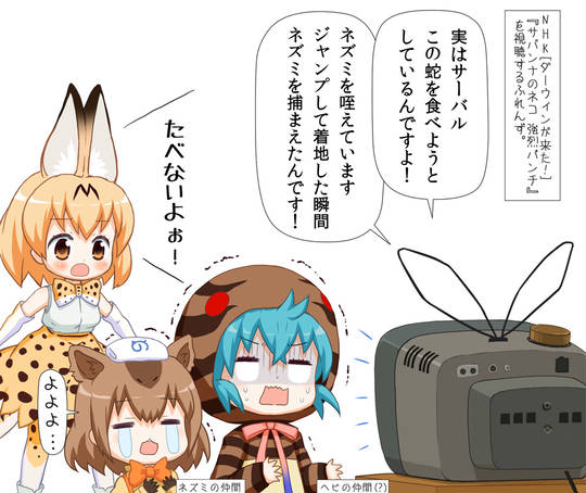 ダーウィンが来た！ べべねこ